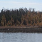 IMG_1770 IMG_1770
