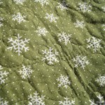 IMG_2488 IMG_2488